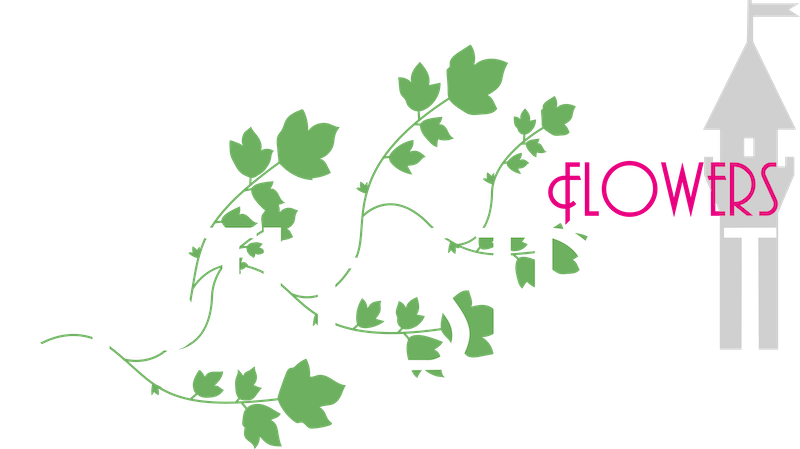 Castle Street Flowers