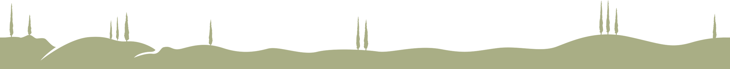 Footer Landscape Border