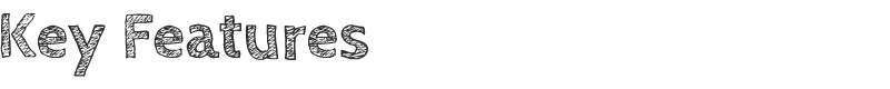 Key Features