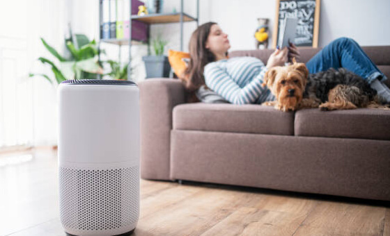 white air purifier with a lady relaxing in the background with her pet dog